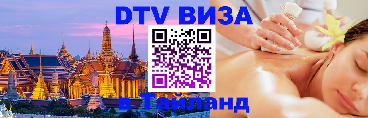 Оформление DTV визы под ключ: стоимость и тарифы, только загранпаспорт - Бийск  10.12.2025 